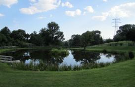 SJH pond two years after chemical treatment and stocking with Grass Carp