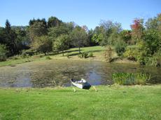 Ottsville pond before treatment