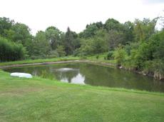 Ottsville pond after treatment